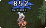 Counter Kick Info.gif
