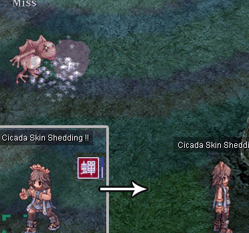 Cicada Skin Shed Info.gif