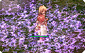 Thumbnail for version as of 02:45, 29 September 2007