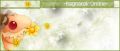 Thumbnail for version as of 04:23, 30 November 2007