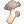 581.gif